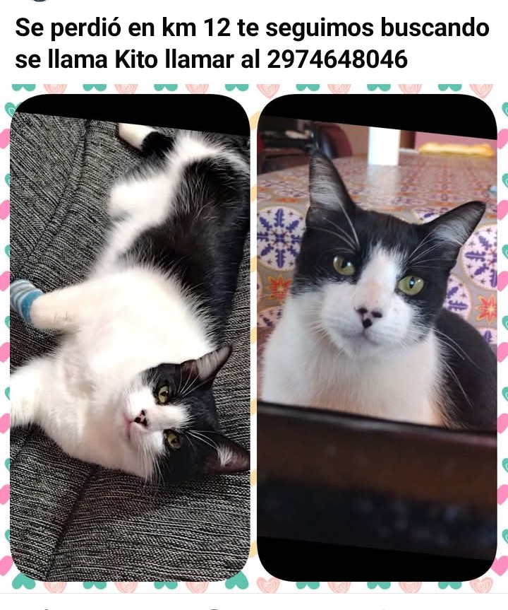 Kito